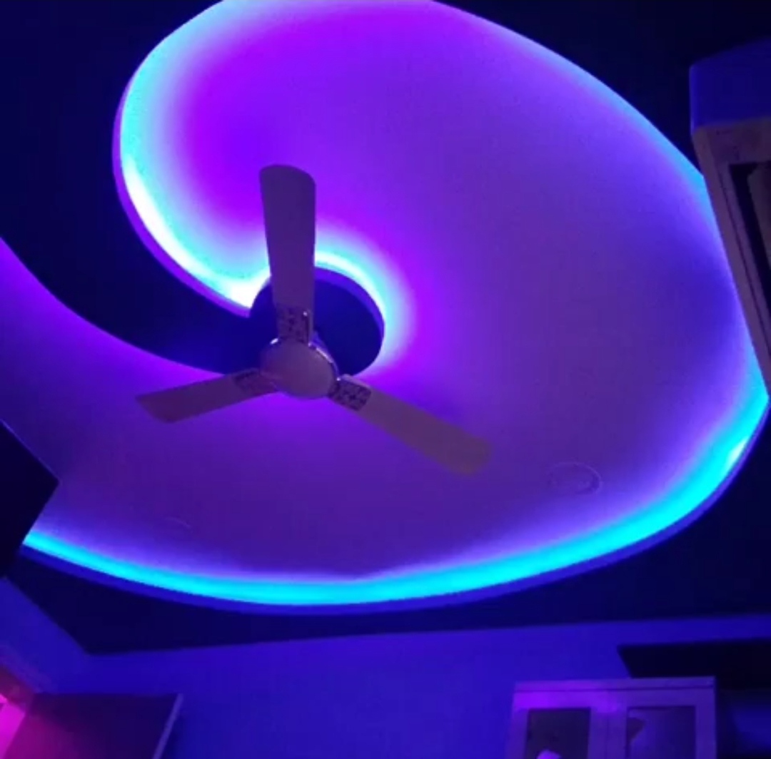 Vasant Oasis interior 3